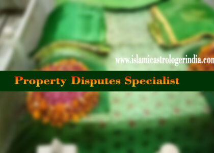 Property Disputes Specialist