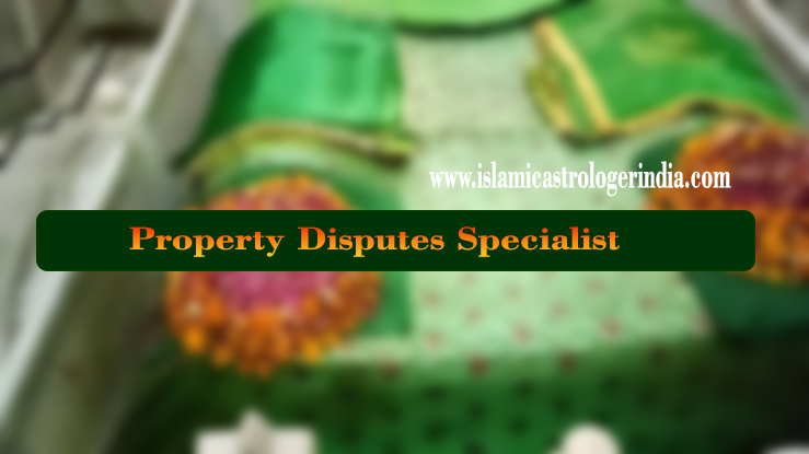 Property Disputes Specialist