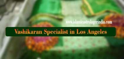 Vashikaran Specialist in Los Angeles